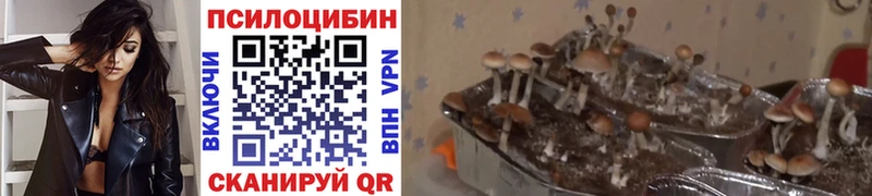 Галлюциногенные грибы прущие грибы  Барабинск 